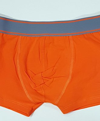 Boxerit