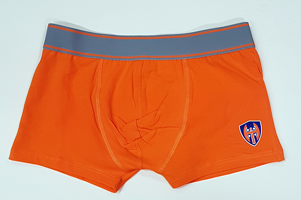 Boxerit